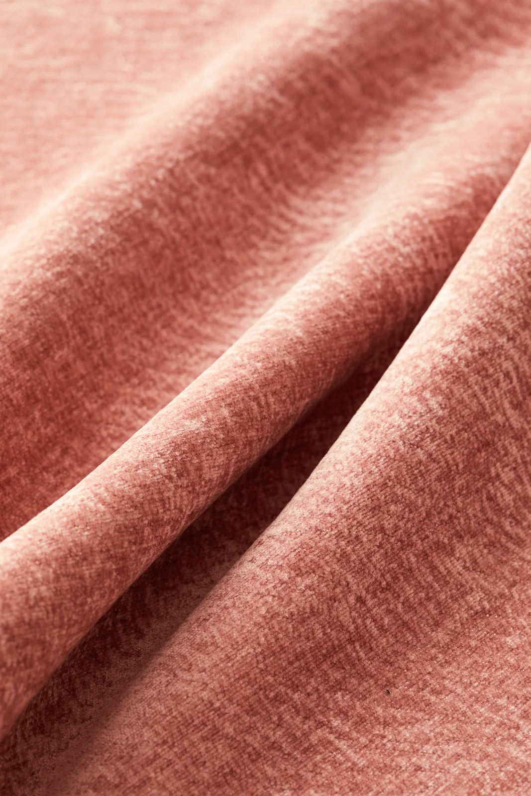 Velora in rose